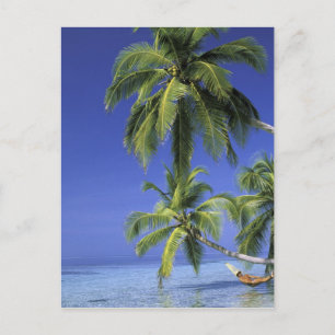 Asien, Malediven-Inseln. Mann an der Hängematte Postkarte