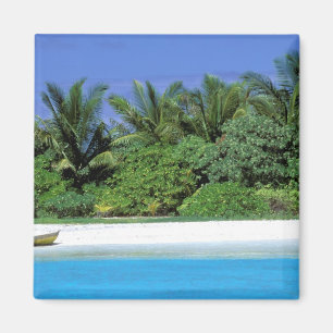 Asien, Malediven. Nord-Male-Atoll Magnet
