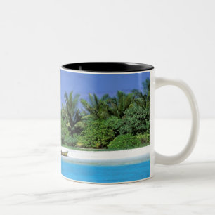 Asien, Malediven. Nord-Malé-Atoll Zweifarbige Tasse