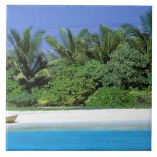 Asien, Malediven. Nordmännchen-Atoll Fliese