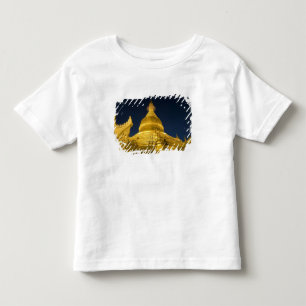 Asien, Maynmar, Yangon, buddhistischer Tempel in Y Kleinkind T-shirt