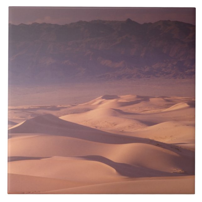 Asien, Mongolei, Gobi-Wüste, Gobi Gurvansaikhan Fliese (Vorderseite)