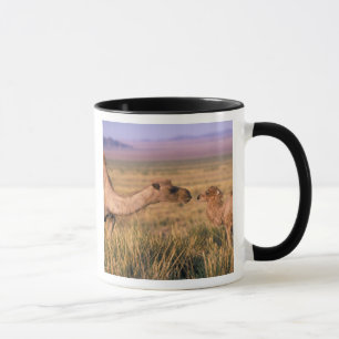 Asien, Mongolei, Gobi-Wüste, Große Gobi Tasse
