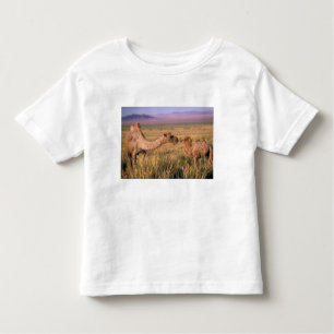 Asien, Mongolei, Wüste Gobi, Großer Gobi Kleinkind T-shirt