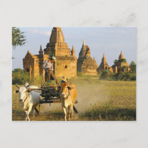 Asien, Myanmar (Birma), Bagan (Heide). Ein Wagen i Postkarte