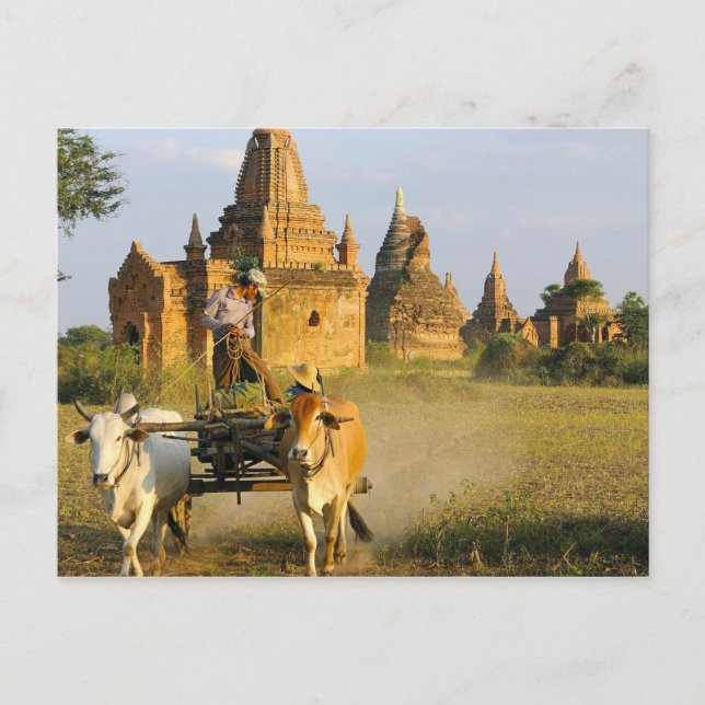 Asien, Myanmar (Birma), Bagan (Heide). Ein Wagen i Postkarte (Vorderseite)