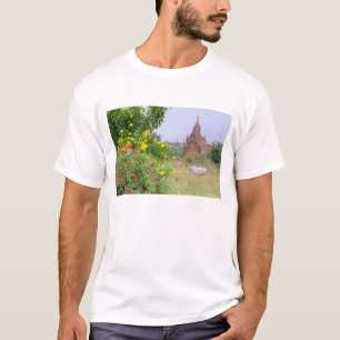 Asien, Myanmar (Birma), Bagan (Heide). Kühe T-Shirt