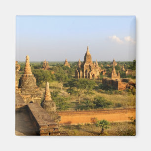 Asien, Myanmar (Birma), Bagan (Heide). Verschieden Magnet