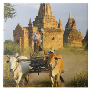 Asien, Myanmar (Birma), Bagan (Pagan). Ein Karren Fliese