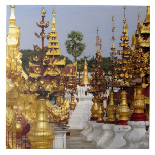 Asien, Myanmar (Burma), Bagan (Pagan). Die Shwe 5 Fliese