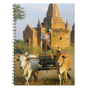 Asien, Myanmar (Burma), Bagan (Pagan). Ein Karren  Notizblock