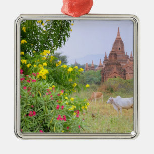 Asien, Myanmar (Burma), Bagan (Pagan). Kühe Silbernes Ornament