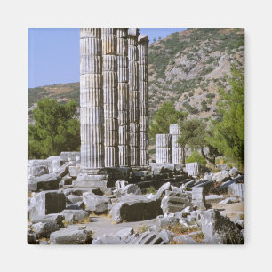 Asien, Naher Osten, Türkei, Ephesus. Tempel Magnet