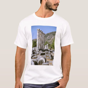 Asien, Naher Osten, Türkei, Ephesus. Tempel T-Shirt