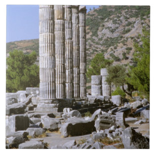 Asien, Naher Osten, Türkei, Ephesus. Tempel von Fliese