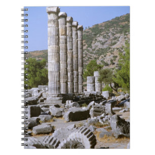 Asien, Naher Osten, Türkei, Ephesus. Tempel von Notizblock