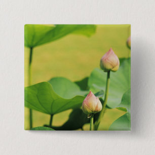Asien, Thailand, Bangkok. Grand Palace, Lotus Button
