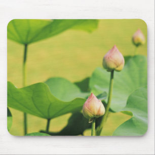 Asien, Thailand, Bangkok. Grand Palace, Lotus Mousepad