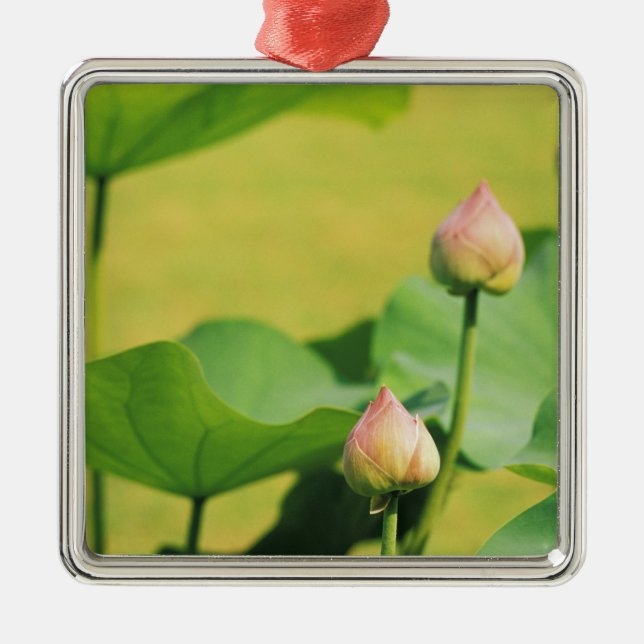 Asien, Thailand, Bangkok. Grand Palace, Lotus Silbernes Ornament (Vorne)