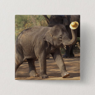 Asien, Thailand, Lampang Bowing with hat - Thai Button