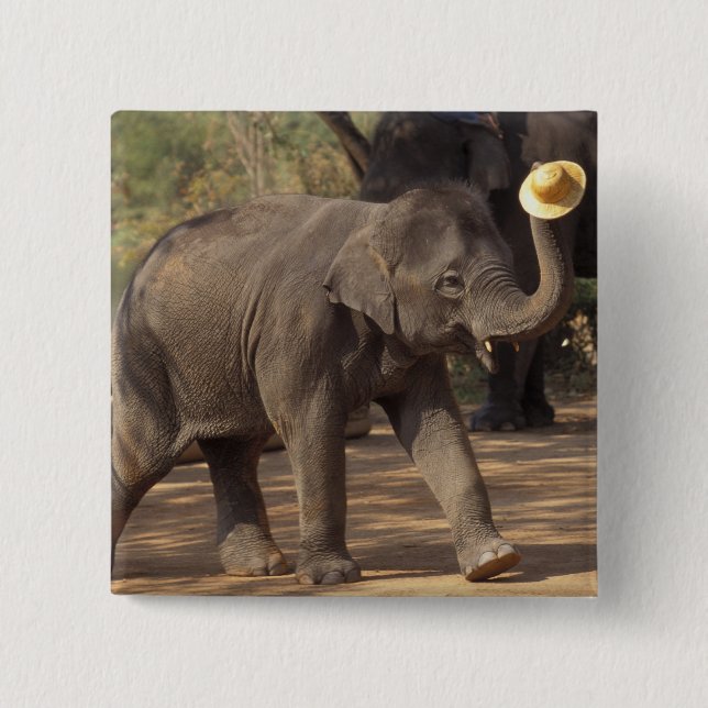 Asien, Thailand, Lampang Bowing with hat - Thai Button (Vorderseite)