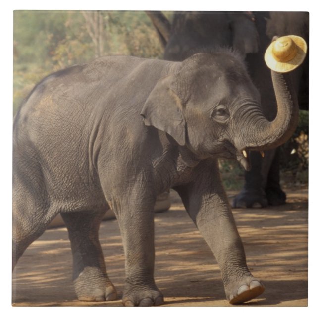 Asien, Thailand, Lampang Bowing with hat - Thai Fliese (Vorderseite)
