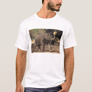 Asien, Thailand, Lampang Bowing with hat - Thai T-Shirt