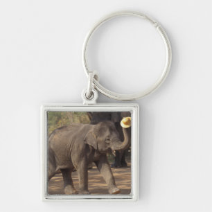 Asien, Thailand, Lampang Verbeugung mit dem Hut - Schlüsselanhänger