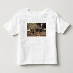 Asien, Thailand, Lampang Verbeugung mit Hut - Thai Kleinkind T-shirt