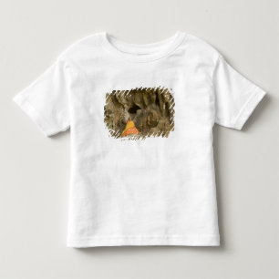 Asien, Thailand, Mae Hong Son, Buddha-Bilder Kleinkind T-shirt