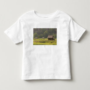 Asien, Thailand, Mae Hong Son, Reishütten in der Kleinkind T-shirt