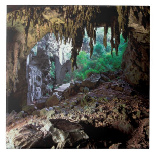 Asien, Thailand, Phangnga Bay NP Fliese