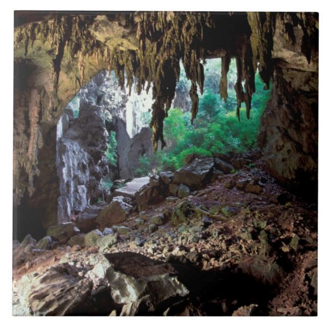 Asien, Thailand, Phangnga Bay NP Fliese (Vorderseite)
