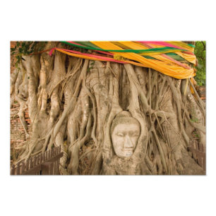 Asien, Thailand, Siam, Buddha in Baumruten Fotodruck
