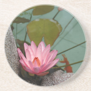 Asien, Vietnam. Seerose in einem Tempelteich Getränkeuntersetzer