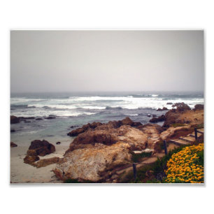 Asilomar Beach, Pacific Grove, CA, USA Fotodruck