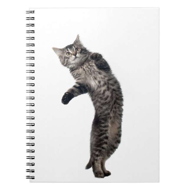 Asio-Tanzen Notizblock (Vorderseite)