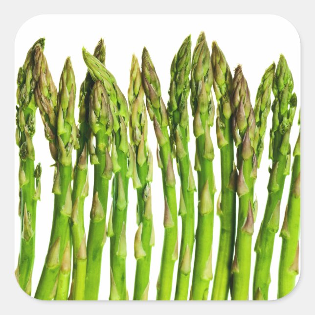 Asparagus auf Weiß - Kundenspezifische Veggie-Hint Quadratischer Aufkleber (Vorderseite)