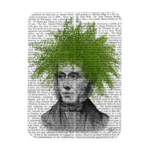 Asparagus Fern Head Pflanzen Head Magnet