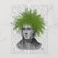 Asparagus Fern Head Pflanzen Head