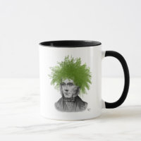 Asparagus Fern Head Pflanzen Head