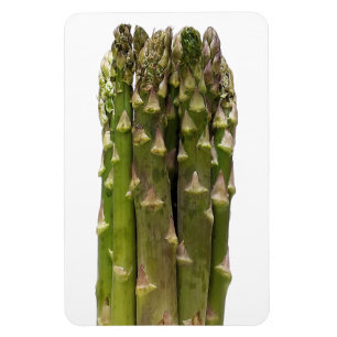 Asparagus Foto Magnet