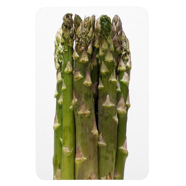 Asparagus Foto Magnet (Vertikal)