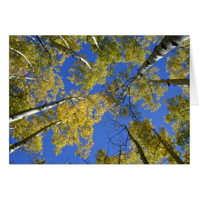 Aspekte aus der unteren Karte (Vorderseite (Horizontal))