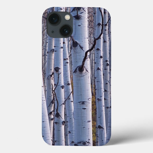 Aspekte im Nationalpark Gunnison Case-Mate iPhone Hülle (Rückseite)