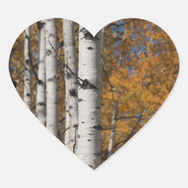 Aspen Alley in Fall Orane Heart Sticker (Vorderseite)