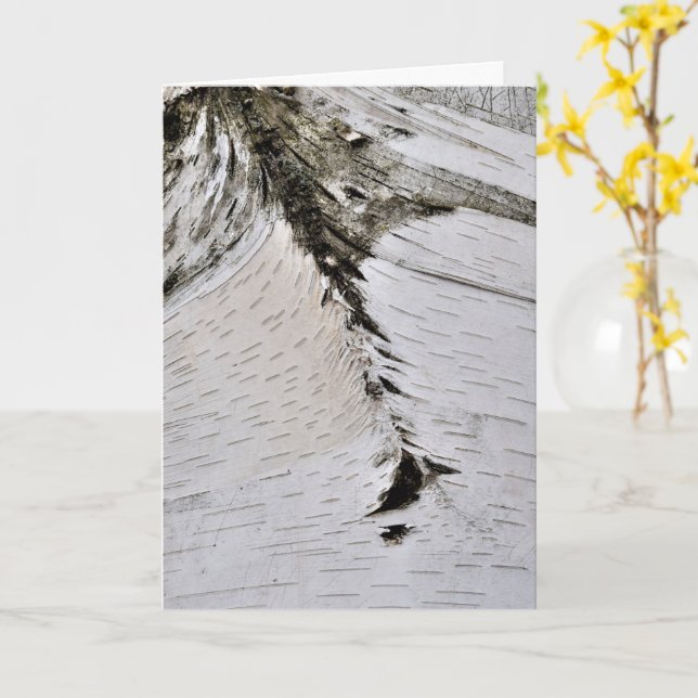 Aspen Bark Nah Karte (Gelbe Blume)