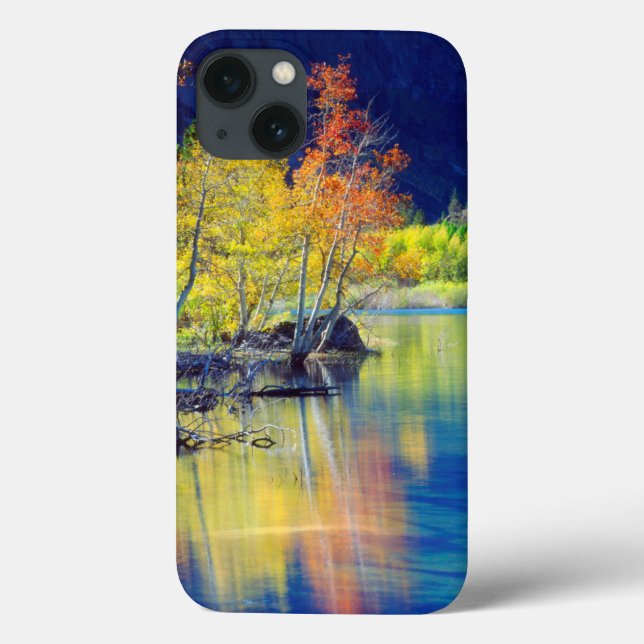 Aspen Baum im Herbst reflektiert Grant Lake Case-Mate iPhone Hülle (Rückseite)