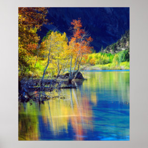 Aspen Baum im Herbst reflektiert Grant Lake Poster