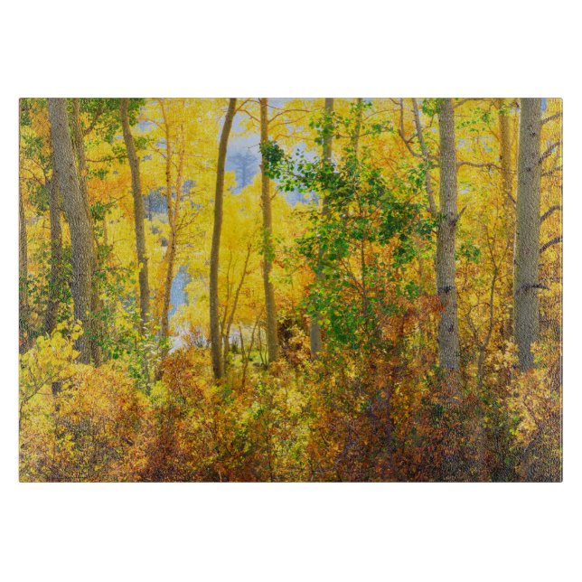 Aspen Bäume im Fall| Sierra Nevada Mountains, CA Schneidebrett (Vorderseite)
